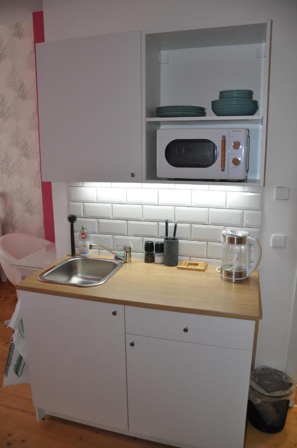 Apartman U Vaclava V Centru Mesta Літомишль Екстер'єр фото